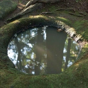 A cover of "Photoinspo" cluster. The owner is camilamartineztr. The cluster consists of 2 elements.