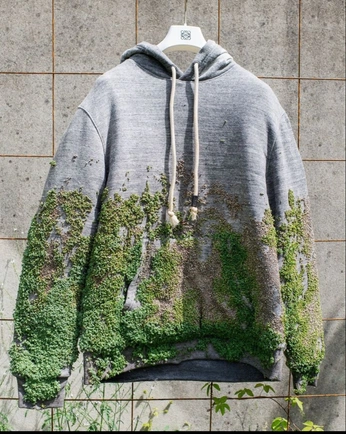 A cover of "moss fashion" cluster. The owner is snailmonster. The cluster consists of 2 elements.