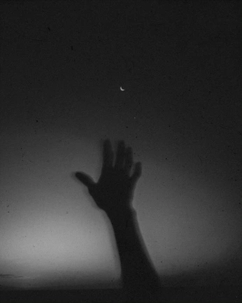 A cover of "photo inspo" cluster. The owner is mona.miller. The cluster consists of 4 elements.