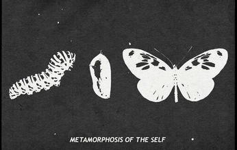 A cover of "FLOWER" cluster. The owner is adrse. The cluster consists of 6 elements.