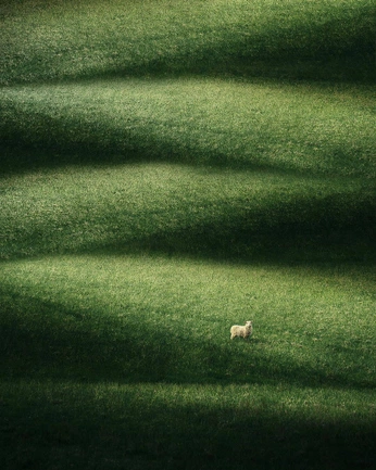 A cover of "green" cluster. The owner is asanastasi. The cluster consists of 1 element.