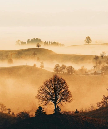 A cover of "Wonderous Environments" cluster. The owner is jonathanworks. The cluster consists of 2 elements.