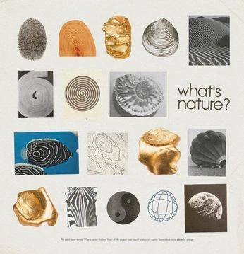 A cover of "nature" cluster. The owner is chiarafeyona. The cluster consists of 22 elements.