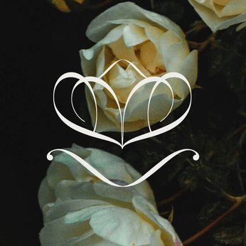 A cover of "holy moment studio logo" cluster. The owner is bananababy. The cluster consists of 3 elements.