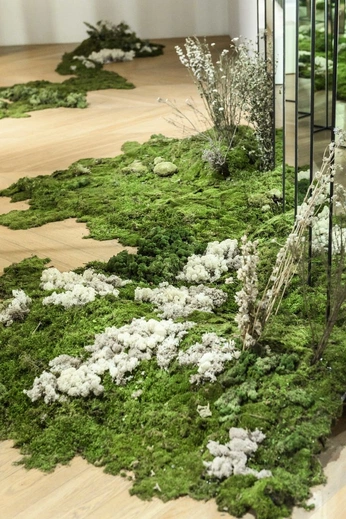 A cover of "sonia" cluster. The owner is piarodri. The cluster consists of 4 elements.