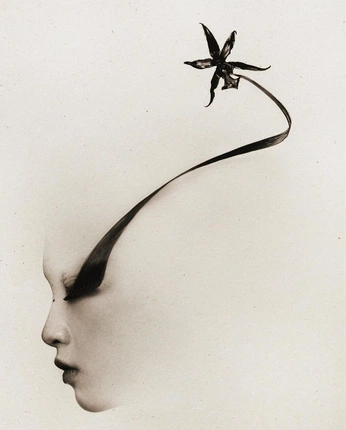 A cover of "Art" cluster. The owner is lalisimone. The cluster consists of 1 element.