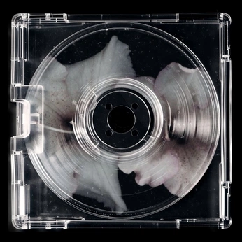 A cover of "things i love" cluster. The owner is h.lucy12. The cluster consists of 25 elements.