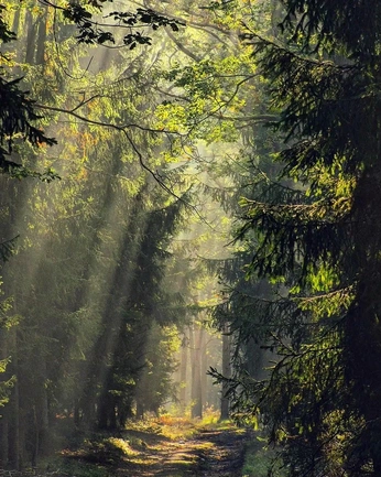 A cover of "micheal" cluster. The owner is r1ngl34d. The cluster consists of 70 elements.