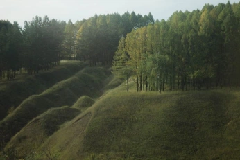 A cover of "Green" cluster. The owner is jsssl. The cluster consists of 3 elements.