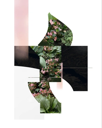 A cover of "collage" cluster. The owner is paloma01. The cluster consists of 11 elements.