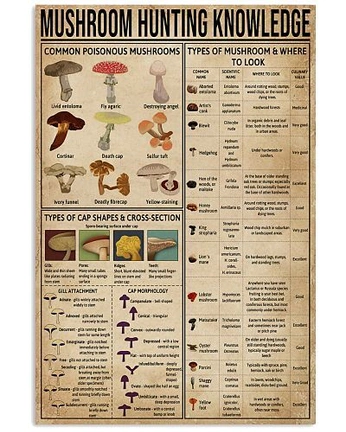 A cover of "food" cluster. The owner is noah.moonshine. The cluster consists of 7 elements.