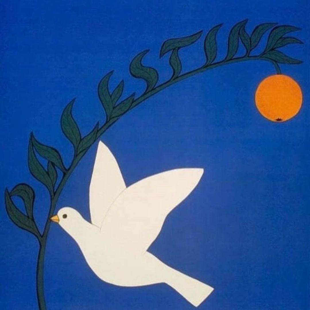 Free Palestine 🇵🇸