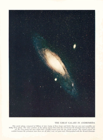 A cover of "Curatorial" cluster. The owner is maafeespitia. The cluster consists of 1 element.