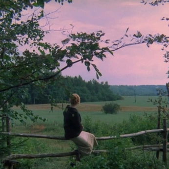 A cover of "Cinema" cluster. The owner is ciaravesely. The cluster consists of 7 elements.