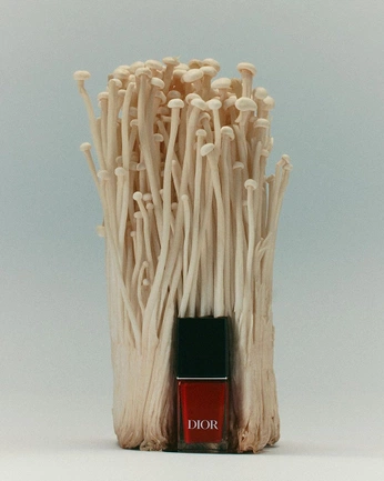 A cover of "DIOR AI - LADYBUG" cluster. The owner is mavsc. The cluster consists of 2 elements.