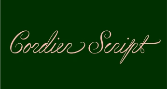 A cover of "Typefaces" cluster. The owner is amstudiodesigns. The cluster consists of 28 elements.