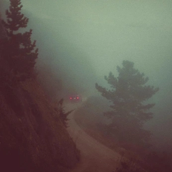 A cover of "wilderness" cluster. The owner is thekacismith. The cluster consists of 20 elements.