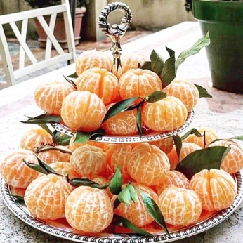 A cover of "imagery" cluster. The owner is rochelleasquith. The cluster consists of 63 elements.