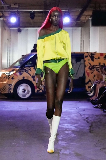 A cover of "Theophilio SS26" cluster. The owner is echogrid. The cluster description is "Runway collection: New York Fashion Week Spring/Summer 2026". The cluster consists of 29 elements.