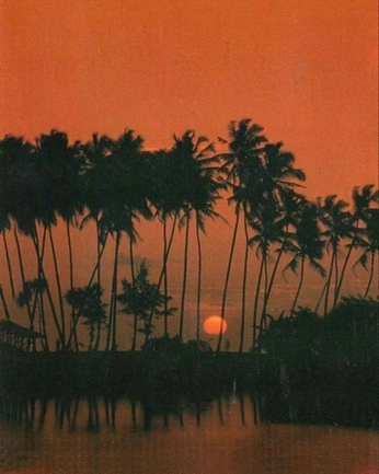 A cover of "red n orange skies" cluster. The owner is aaabbbcccdddeee. The cluster consists of 28 elements.