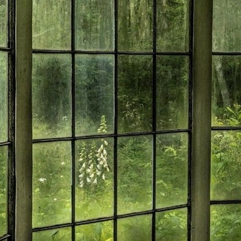 A cover of "green" cluster. The owner is pinkleopard2. The cluster consists of 17 elements.