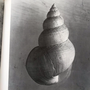 A cover of "ground" cluster. The owner is urfavfah. The cluster consists of 12 elements.