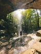 theforestgypsy