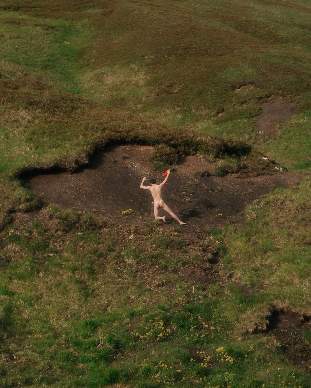 An Instagram  post added on Jan 17, 2025. The author is @cosmos. May present: grass, ibizan hound, podenco canario.