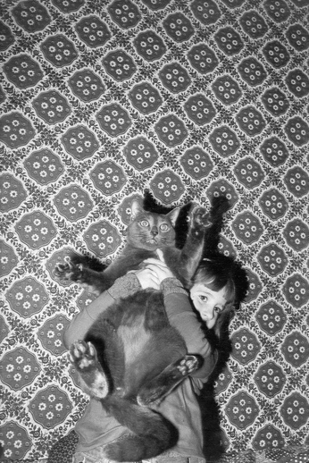 A cover of "photo" cluster. The owner is green1tea. The cluster consists of 20 elements.