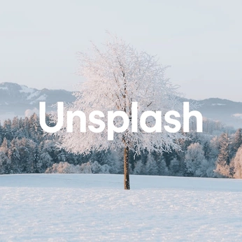 A cover of "⩪ free content" cluster. The owner is powwpic. The cluster consists of 17 elements.