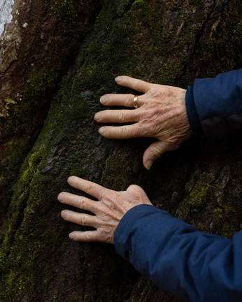 A cover of "Authentic" cluster. The owner is bibi.q. The cluster consists of 70 elements.