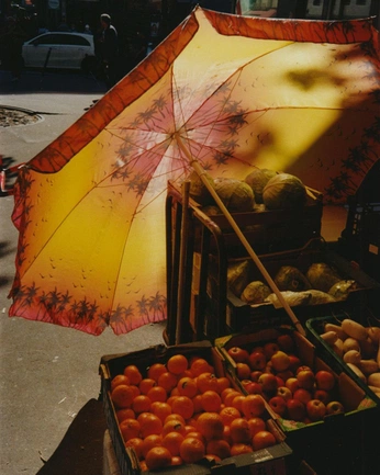 A cover of "photography" cluster. The owner is ploor. The cluster consists of 2 elements.