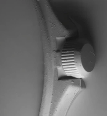 A cover of "(ARCHIVED) SUVREES" cluster. The owner is jbkrauss. The cluster consists of 11 elements.