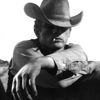 A cover of "Dead or Alive" cluster. The owner is eneesaydinn. The cluster consists of 87 elements.