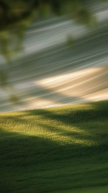 A cover of "3D Fuzzy" cluster. The owner is yaoja02. The cluster consists of 49 elements.