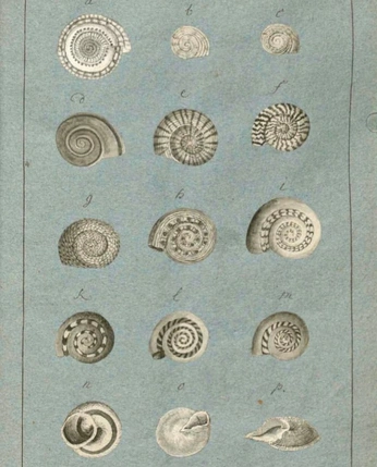 A cover of "⋆☀︎." cluster. The owner is mullerdelfina. The cluster consists of 20 elements.