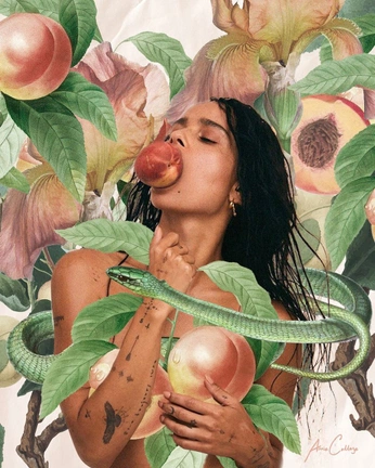 A cover of "Collage" cluster. The owner is cooperlambla. The cluster consists of 3 elements.