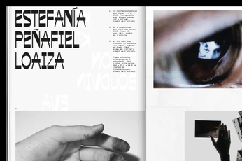 A cover of "FANZINE" cluster. The owner is carlosdivieso. The cluster consists of 5 elements.