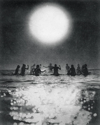 A cover of "the heart" cluster. The owner is cosmos.leaf. The cluster consists of 1 element.