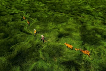 A cover of "just beautiful" cluster. The owner is uwuuwu. The cluster consists of 3 elements.