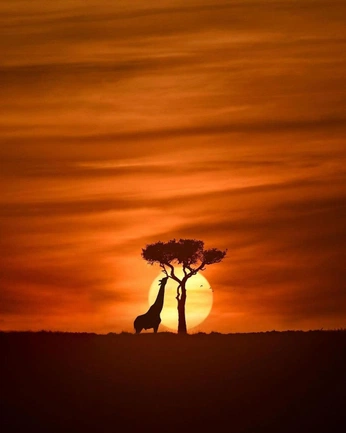 A cover of "Commission ideas" cluster. The owner is kosgei. The cluster consists of 10 elements.