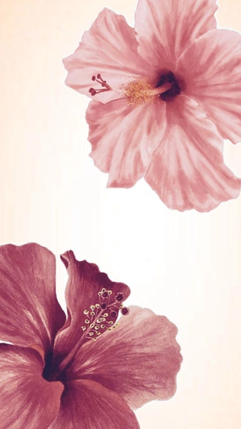 A cover of "Pinterset" cluster. The owner is angie.7. The cluster consists of 7 elements.