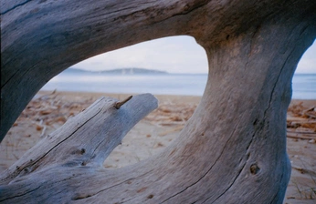 A cover of "Italy on Film" cluster. The owner is alter.lae. The cluster consists of 15 elements.