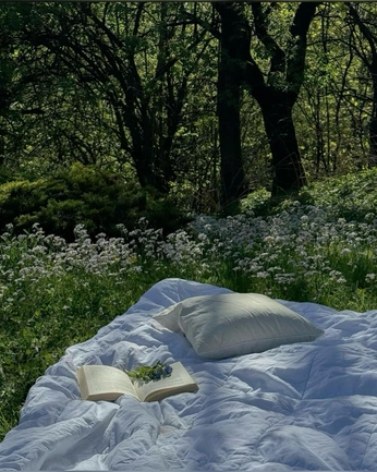 A cover of "Reading" cluster. The owner is triniityyy. The cluster consists of 33 elements.