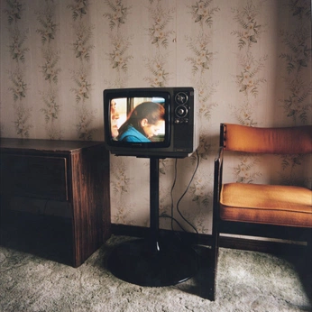 A cover of "stubborn beings" cluster. The owner is ruizvisuals. The cluster consists of 43 elements.