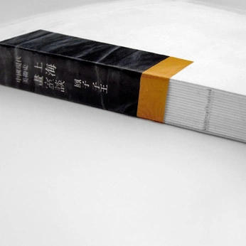 A cover of "magz" cluster. The owner is yeliziscool. The cluster consists of 1 element.