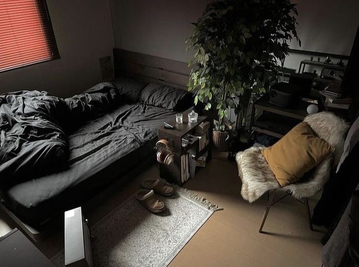A Pinterest pin added by spoofa on Jan 11, 2024. The author is Diego Hernandez. May present: studio couch, window, plant, property, architecture.