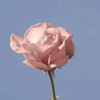 A cover of "𓇢𓆸" cluster. The owner is chrisribbondoll. The cluster description is "once upon a time, a prince had a desired reality. ⋆𖦹˚｡⋆". The cluster consists of 128 elements.