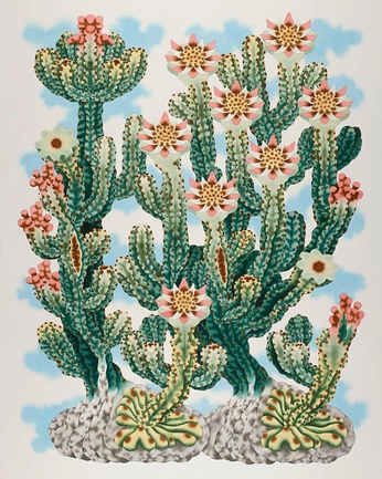 A cover of "frida old age" cluster. The owner is nataflaka. The cluster consists of 162 elements.