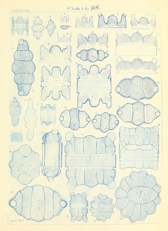 A cover of "old religion" cluster. The owner is son.y. The cluster consists of 17 elements.